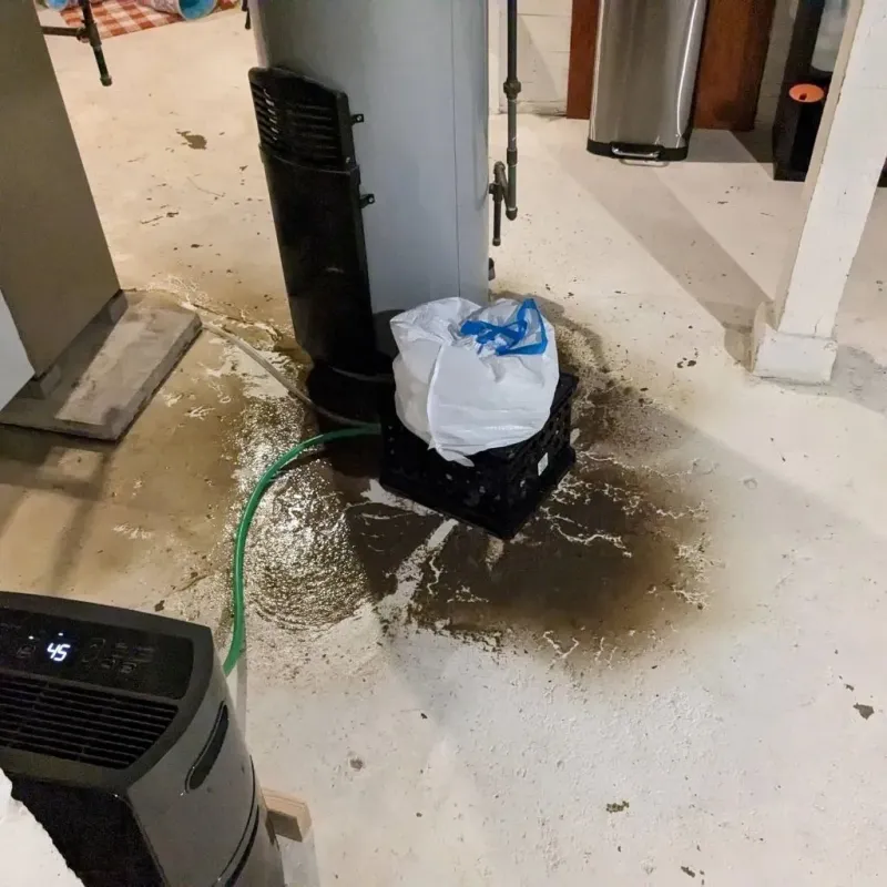 Sewage Backup Cleanup Service in Minden, NE